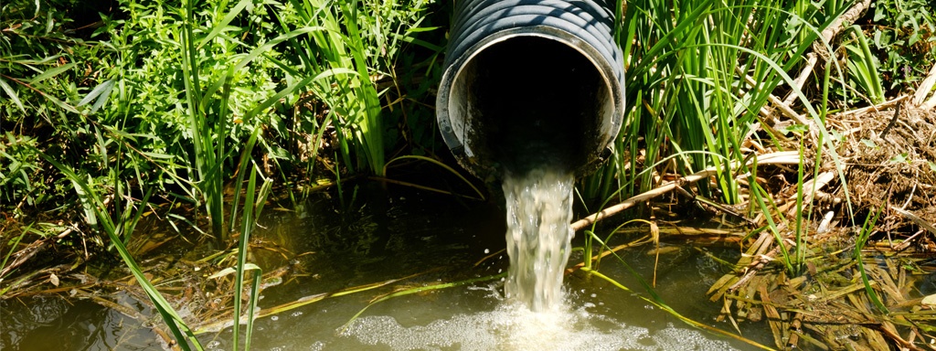 Ścieki wpływają do źródeł